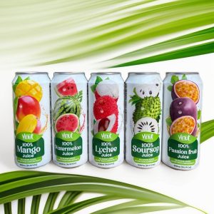 100% Natural Pure Fruit Juice 500ml - Variety Pack of 24 Cans